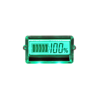 BW-TH01 12V 24V 36V 48V lead acid battery tester battery indicator monitor